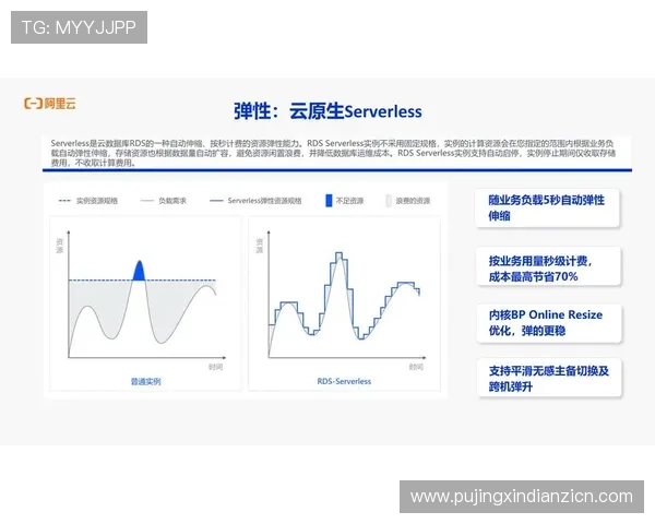 db电子在现代电子商务中的应用与发展趋势分析
