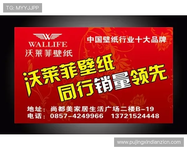 九五至尊电子欢迎光临，尊享极致购物体验，开启尊贵电子消费新时代