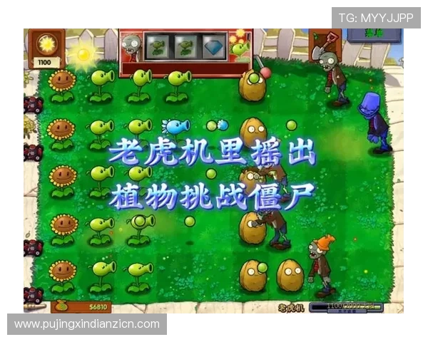 专业玩家必看：高收益老虎机类型游戏推荐与技巧分享