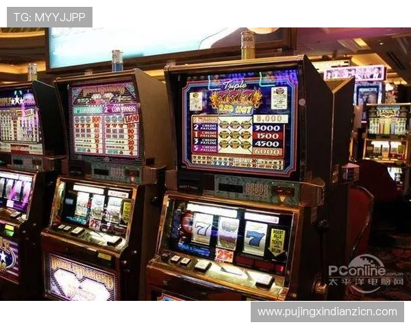 大型老虎机平台的运营模式分析，规模越大意味着哪些潜在优势