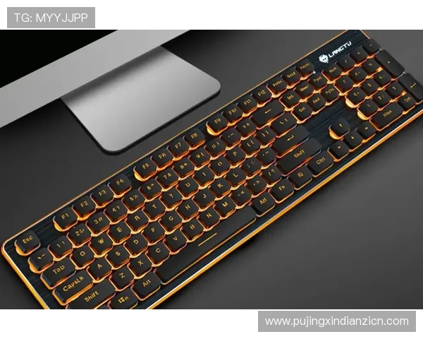 AG电竞游戏店铺提供的优质服务与售后保障，让你的电竞之路更加顺畅